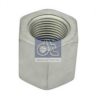 RENAULT 5003032263 Spring Clamp Nut